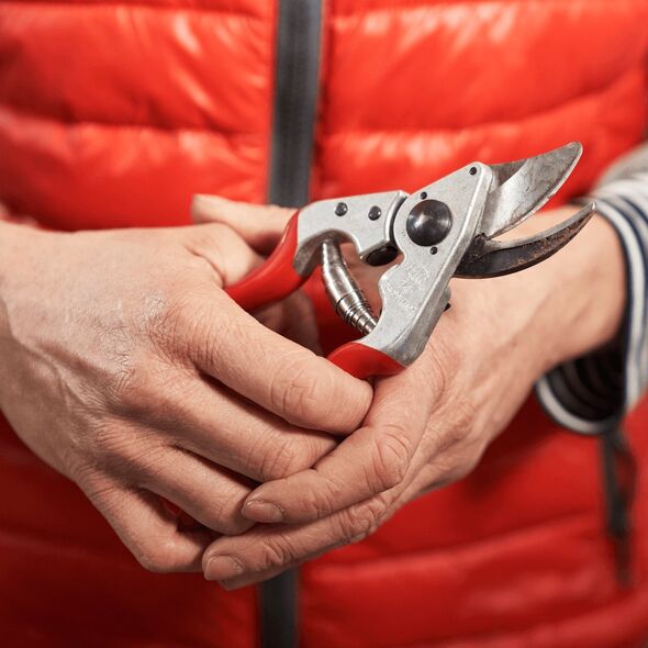 Sekator Felco 14 nożycowy
