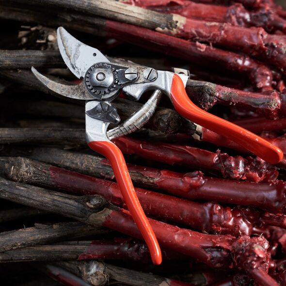 Sekator Felco 14 nożycowy