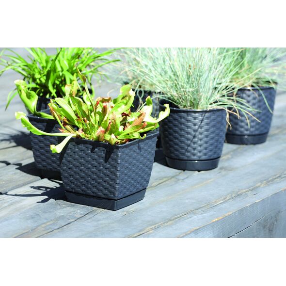 Prosperplast Doniczka kwadratowa RATOLLA SQUARE DRLK250-S433, Kolor Antracyt, Prosperplast, Wymiary 24x24x22 cm