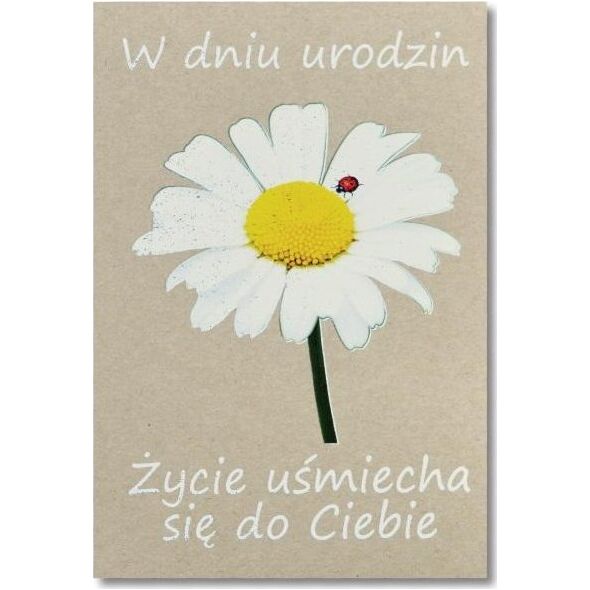 Trend KARNET B6 URODZINY EKO SILVER TS146