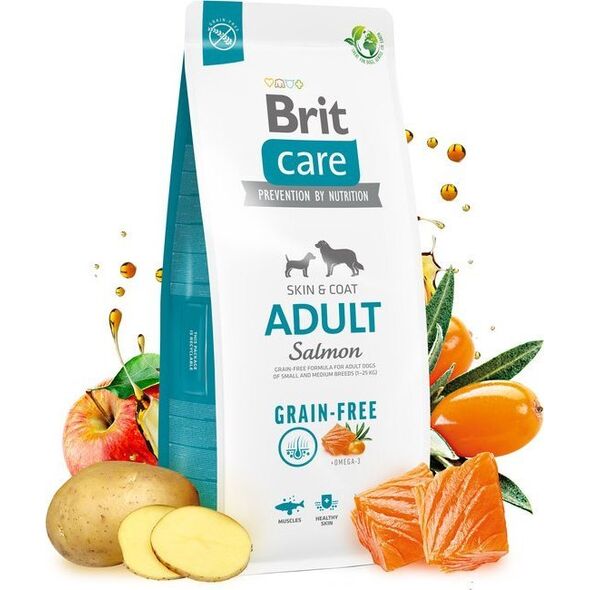 Brit BRIT CARE DOG GRAIN FREE ADULT SALMON - 12KG
