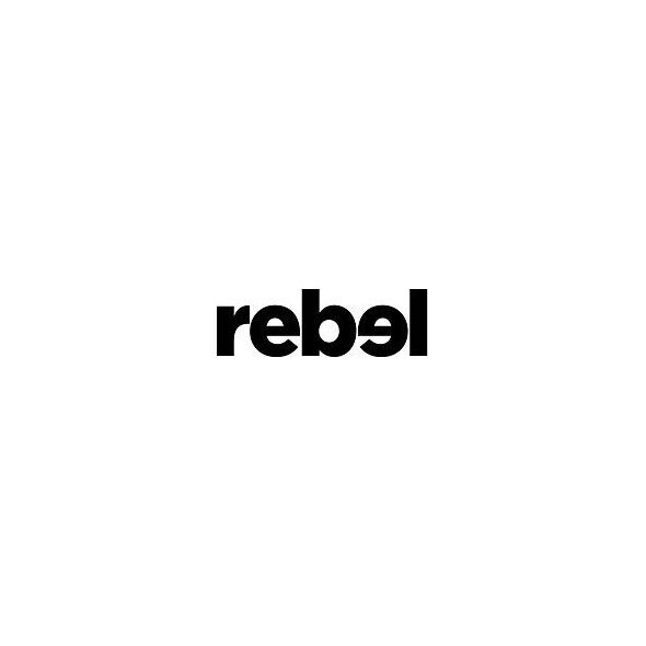 Rebel ROŚLINNE MYDŁO MYDEŁKO DO PĘDZLI MODELARSKICH WEGAŃSKIE