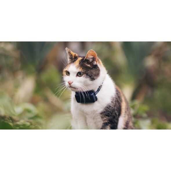Tractive Tractive GPS CAT Mini - Dark Blue