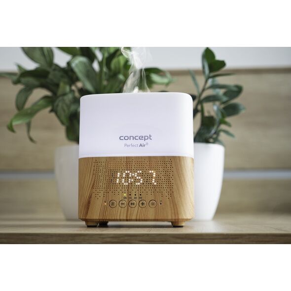 Dyfuzor zapachowy Concept Dyfuzor zapachu Perfect Air Light Wood DF2010