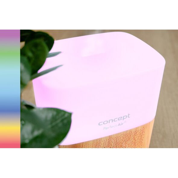 Dyfuzor zapachowy Concept Dyfuzor zapachu Perfect Air Light Wood DF2010