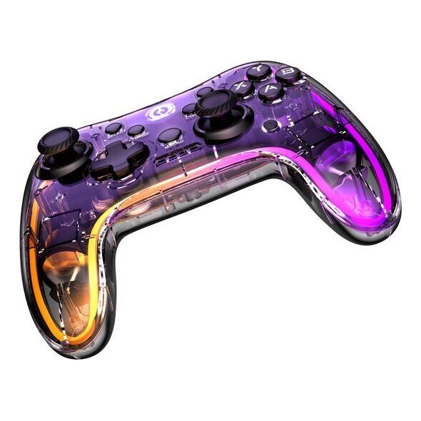 Pad Canyon CANYON GPW-04, 2.4G Wireless Controller with built-in 800mah battery, 2M Type-C charging cable ,Wireless Gamepad for Android / PC / PS3 /PS4 /XBOX360/ Nitendo Switch（RGB Lighting), 151*110*42mm, 208g