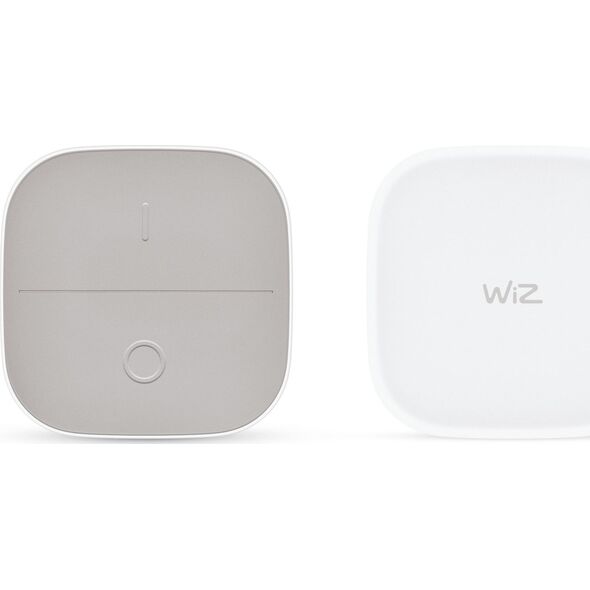 WiZ WiZ | Portable Button