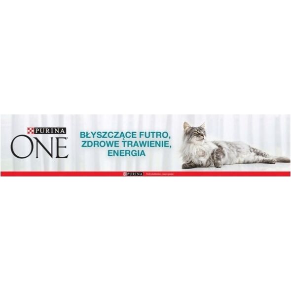 PURINA NESTLE PURINA One Bifensis Indoor Formula - sucha karma dla kota - 1,5 kg
