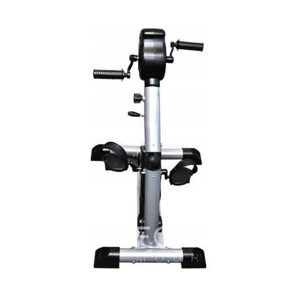 Rower stacjonarny Everfit Welly E Combi elektryczny