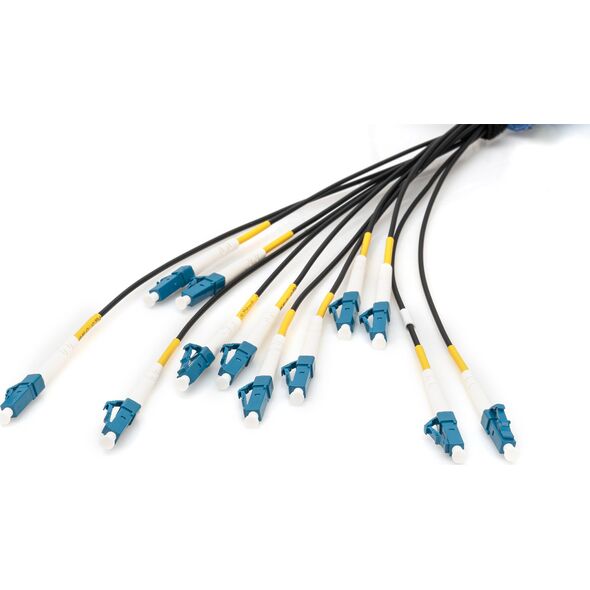 Digitus Cable Digitus LWL LC/UPC-LC/UPC OM4 100m black
