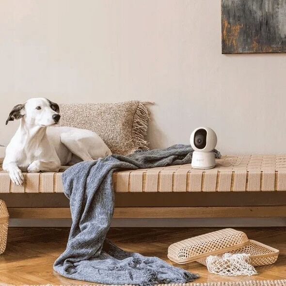 Kamera IP Arenti Arenti P2Q 4MP Indoor UHD Pan-Tilt Wi-Fi Camera