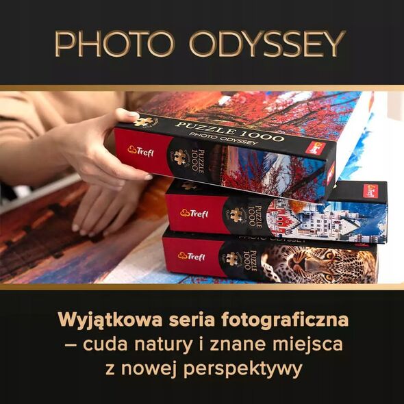 Trefl Puzzle 1000 elementów Premium Plus Big Ben Londyn