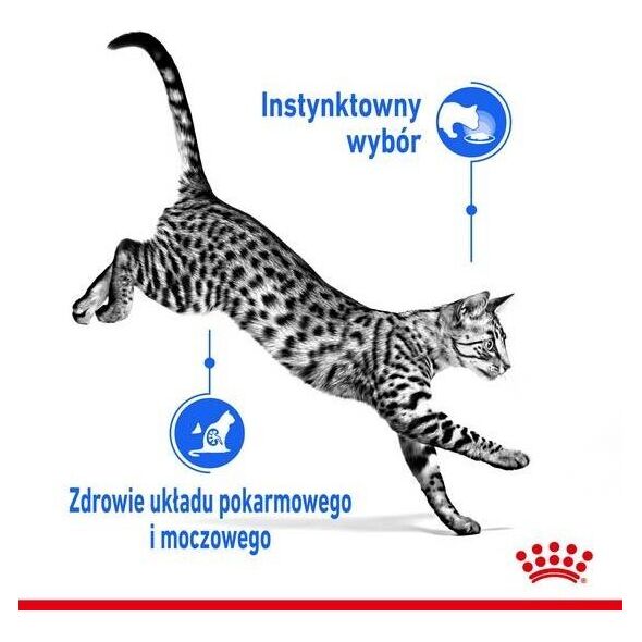 Royal Canin Indoor Sterilised 85g