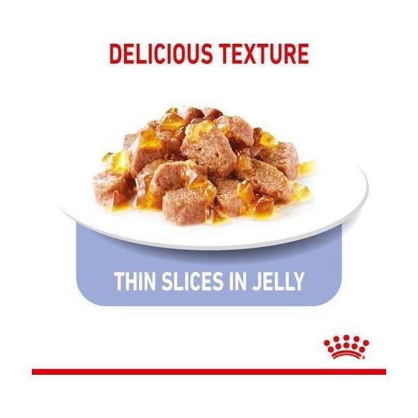 Royal Canin Appetite Control Care 85g
