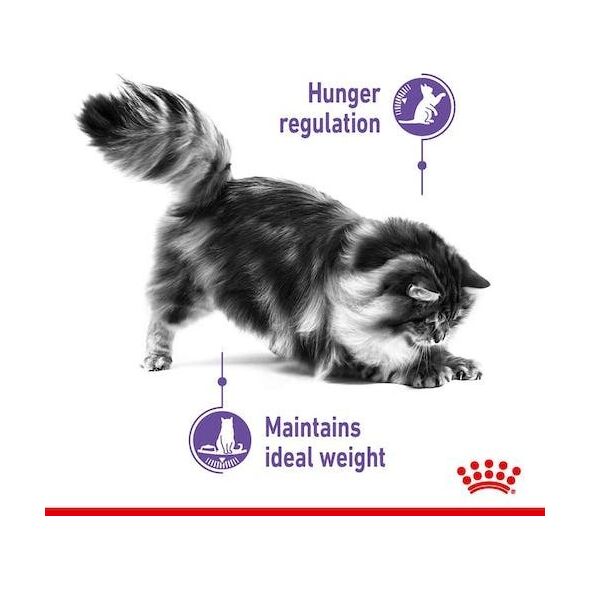 Royal Canin Appetite Control Care 85g