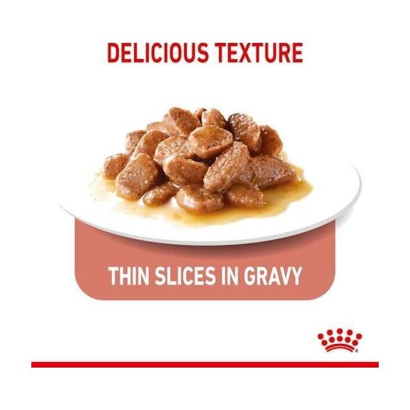 Royal Canin Appetite Control Care 85g