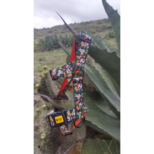 Dingo DINGO SZELKI GUARD CITY CHIAPAS  M 3,0 x 38-70cm