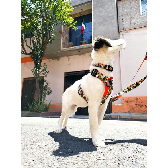 Dingo DINGO SZELKI GUARD CITY CHIAPAS  M 3,0 x 38-70cm