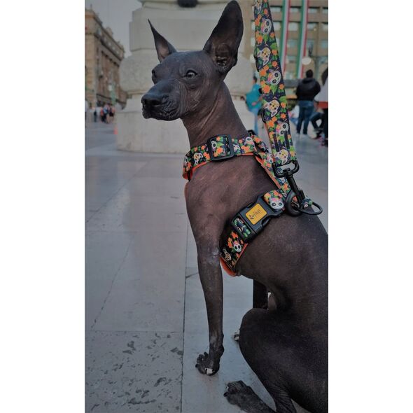 Dingo Dingo Szelki dwupaskowe Guard City - Chiapas rozmiar S