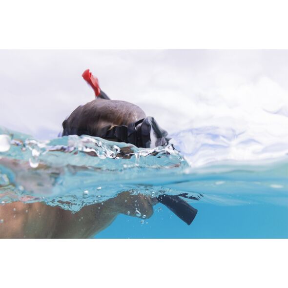 Bestway Bestway Hydro-Pro BlackSea Snorkel & Fin Set, Adult, Half face mask, Tempered glass, Assorted colours, Silicone, 43-48