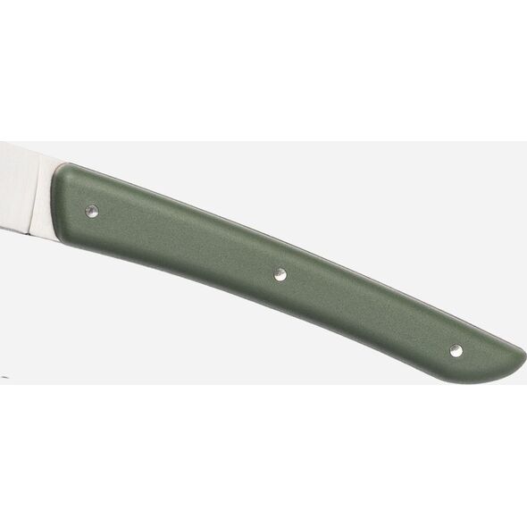 Berkel Berkel steak knife set 4-pcs. Color green