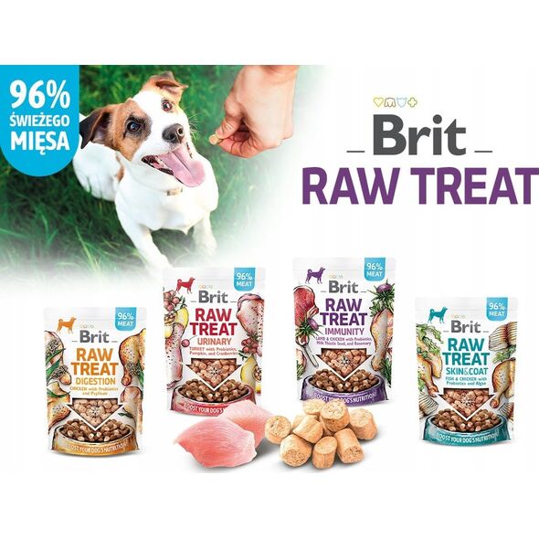 Brit Brit Raw Treat Dog Digestion Chicken 40g