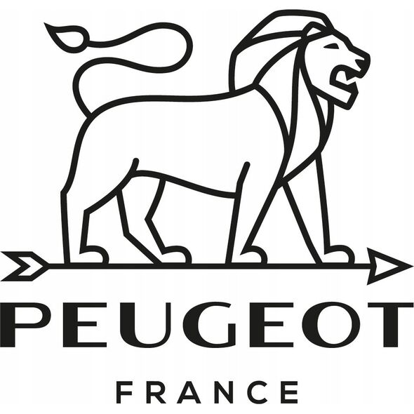 Młynek do przypraw Peugeot Peugeot Fidji Salzmühle 15 cm Graphit aus Holz und Edelstahl