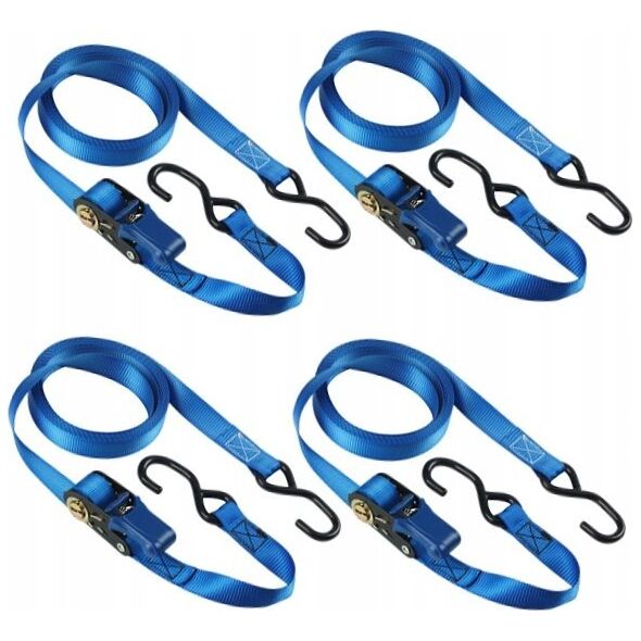 MasterLock Master Lock 4 Ratchet tie-down with S-Hooks 5m blue  4367EURDAT