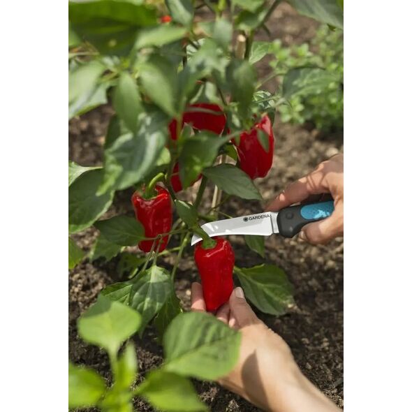 Gardena Gardena Harvesting Knife VeggieCut (grey/turquoise, incl. belt holster with integrated sharpening stone)