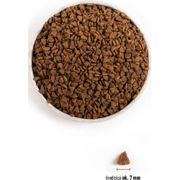 Acana ACANA First Feast Cat sausas maistas katėms (Kitten) 1,8kg