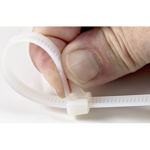 Organizer StarTech 100 PACK OF RESEALABLE ZIP TIES