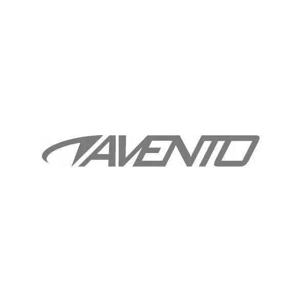 Avento Stalo teniso kamuoliukai AVENTO 46TR 60vnt
