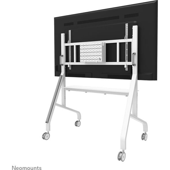Neomounts Stojak podłogowy na monitory 65" - 110" (FL50-575WH1)