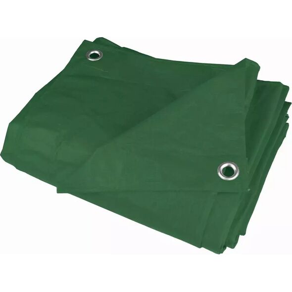 Dedra Plandeka 5x8m, 80g/m2 zielona