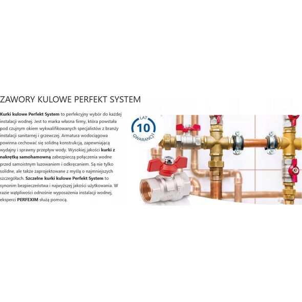 Perfexim Zawór kulowy wodny WZ DN25 rączka niebieska wzmocniony PHA-003 G1 WZ PN30 N DN25 [6/60]