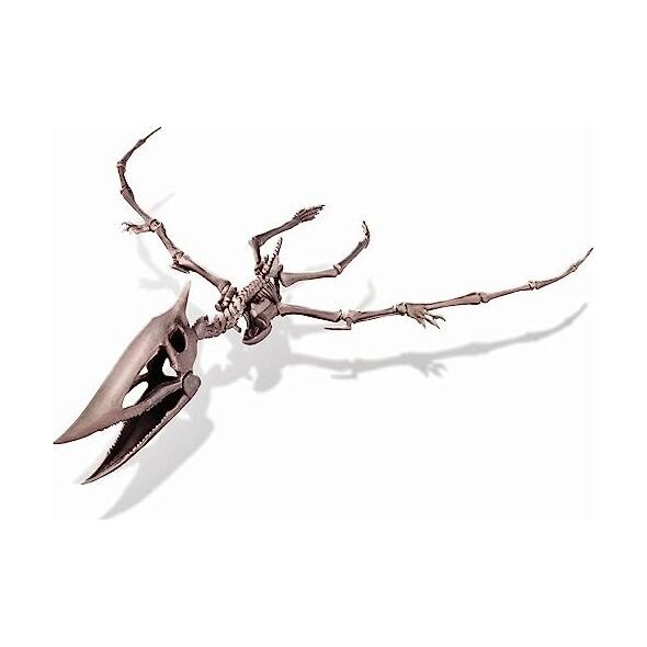 4M 4M craft kit "Dig a Pteranodon skeleton"