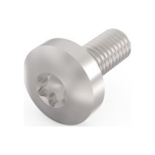SCHROFF SCHROFF Śruba z łbem walcowym, Torx, funkcja GND, stal ocynkowana, M4  10 mm, 100 szt.