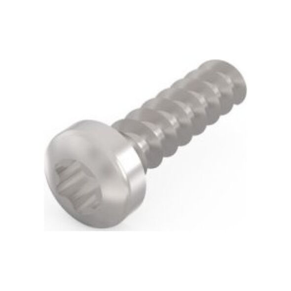 SCHROFF SCHROFF śruba głowicy cylindra, Torx,  2,5 mm, długość 9,3 mm, gwintowana, St ocynkowana