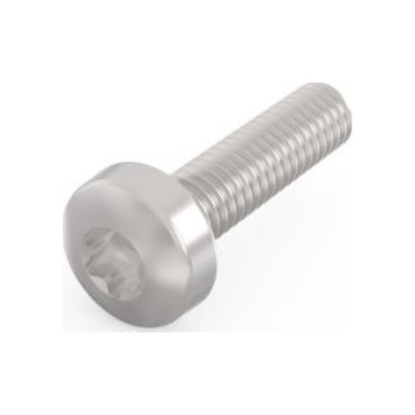 SCHROFF SCHROFF Śruba z łbem walcowym, Torx, stal niklowana, M2,5 x 12 mm