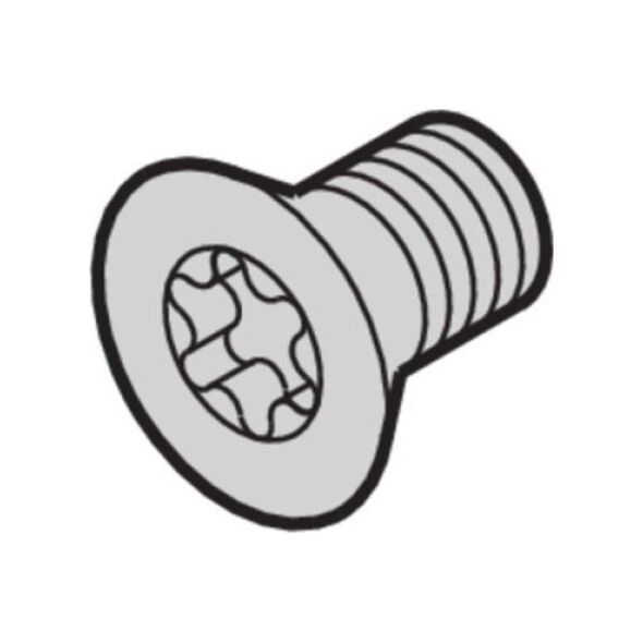 SCHROFF SCHROFF Śruba z łbem stożkowym, Torx M4x14 mm, St ocynkowana