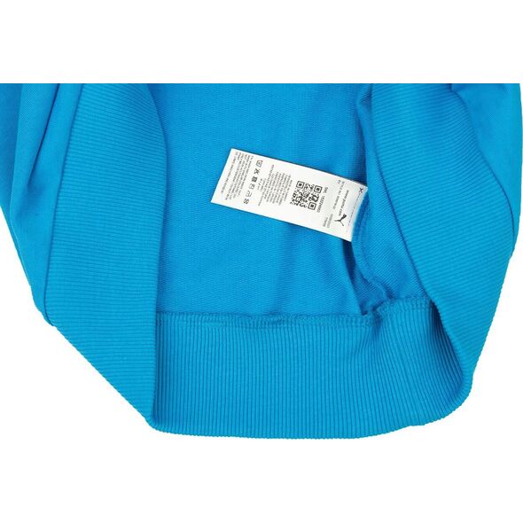 Puma Bluza męska Puma Team Goal Casuals Hoody niebieska 658618 02 L