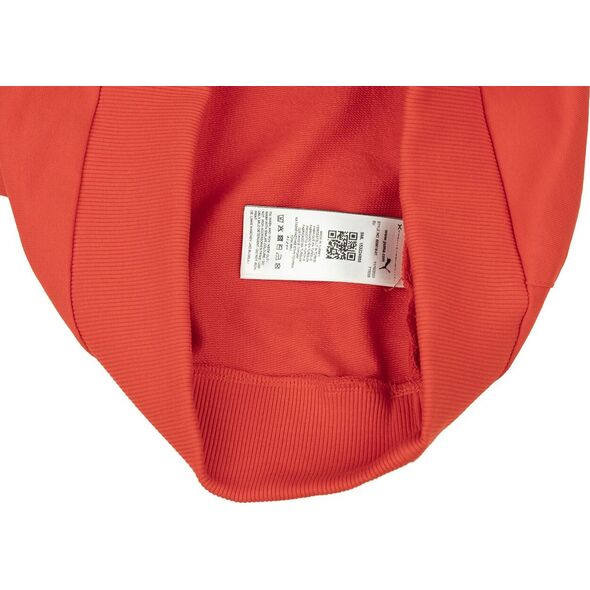 Puma Bluza męska Puma Team Goal Casuals Hoody czerwona 658618 01 S
