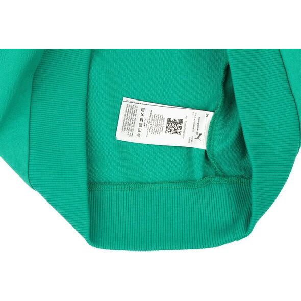 Puma Bluza męska Puma Team Goal Casuals Hoody zielona 658618 05 XL