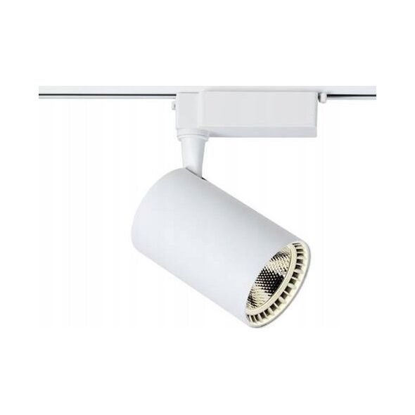 Naświetlacz DPM SPOTLIGHT STR-10W-W 820LM 4000K WHITE