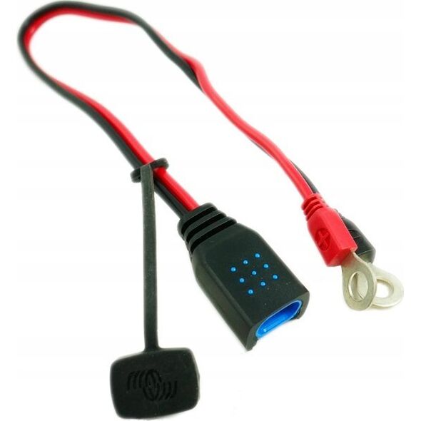 Victron Energy Prostownik Victron Blue Smart IP65 12V 5A Bluetooth