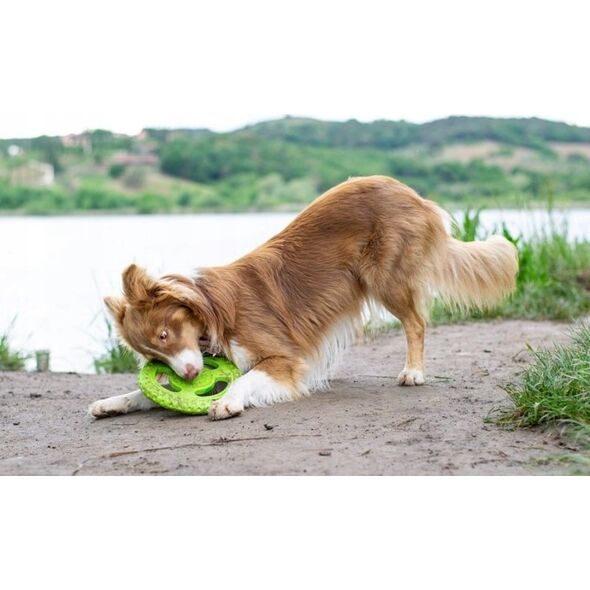 Triton Kiwi Walker Let's Play Frisbee Maxi pomarańczowe