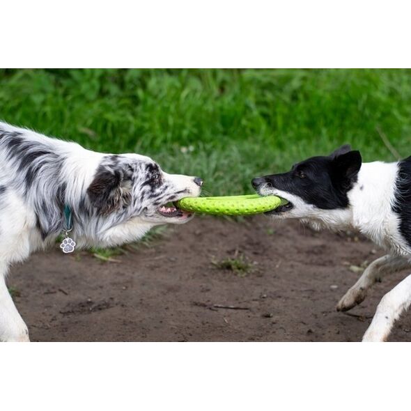 Triton Kiwi Walker Let's Play Frisbee Maxi niebieskie