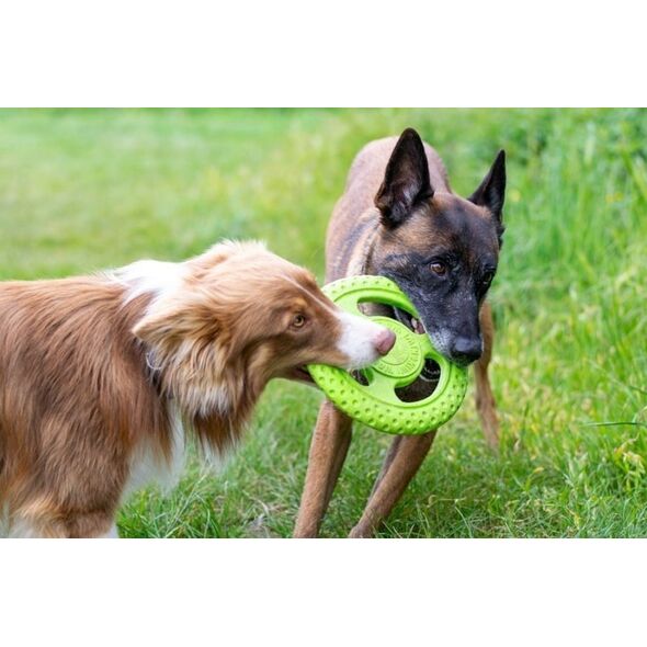 Triton Kiwi Walker Let's Play Frisbee Maxi niebieskie