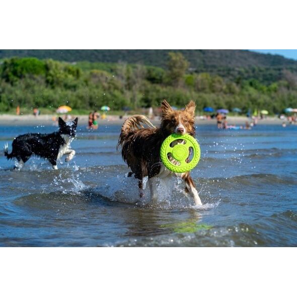 Triton Kiwi Walker Let's Play Frisbee Maxi niebieskie