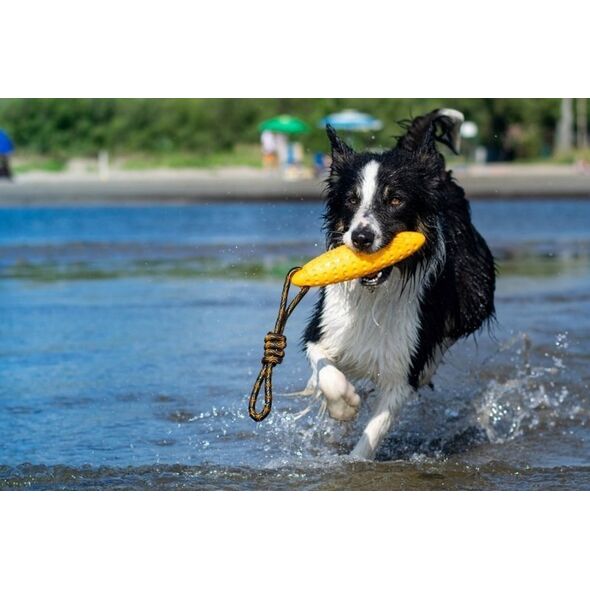 Triton Kiwi Walker Let's Play Zeppelin Maxi aport niebieski